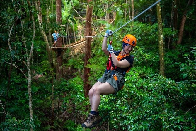 Ziplining Cape Tribulation with Treetops Adventures - Getting above the Daintree canopy