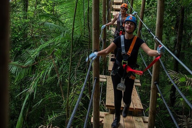 Ziplining Cape Tribulation with Treetops Adventures - What the rainforest adds to the experience