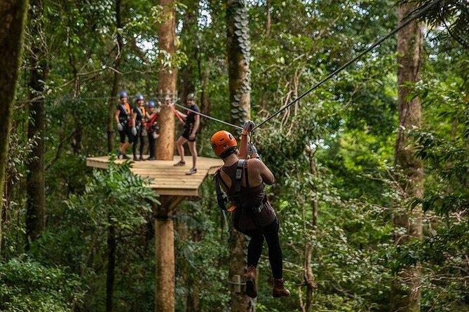 Ziplining Cape Tribulation with Treetops Adventures - Who will enjoy this most?