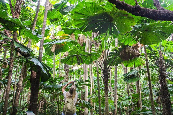Ziplining Cape Tribulation with Treetops Adventures - Booking, cancellation, and practical planning