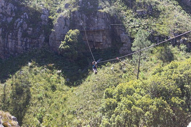 Ziplining Elgin - The first two slides and finding your confidence